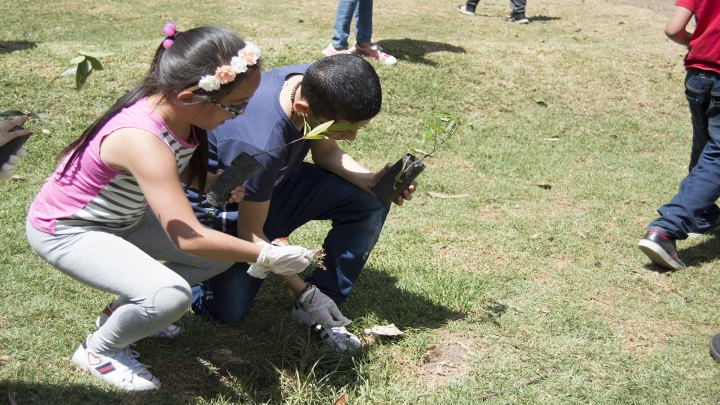 &lsquo;Sembratones&rsquo;, tutela y plant&oacute;n para solucionar el problema ambiental