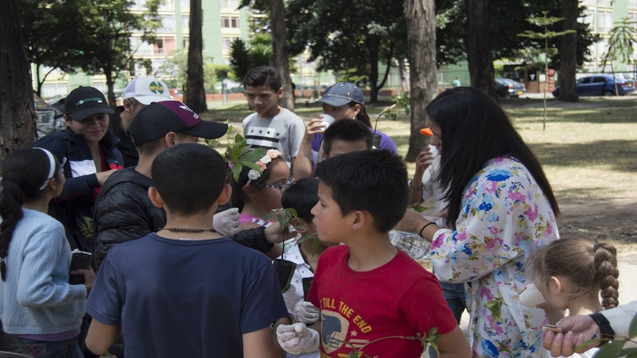 ‘Sembratones’, tutela y plantón para solucionar el problema ambiental