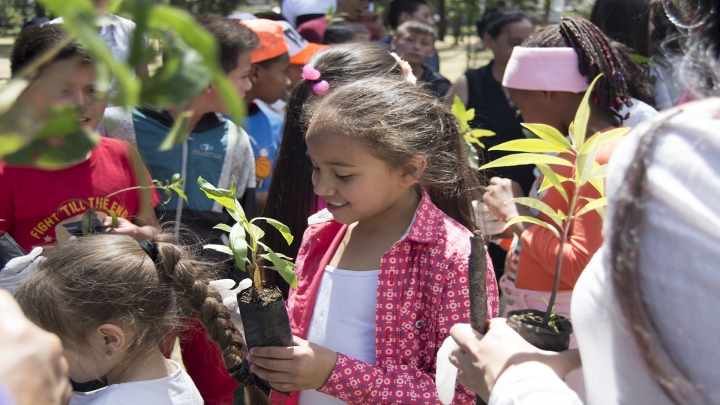 ‘Sembratones’, tutela y plantón para solucionar el problema ambiental