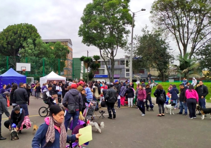 Jornada de esterilización en El Barrio Santa Cecilia de Engativá.