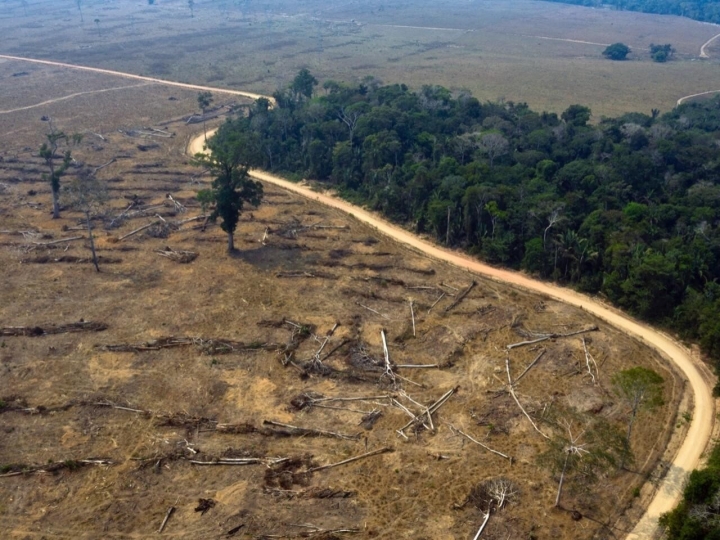 Hectáreas deforestadas en Chiriquiquete