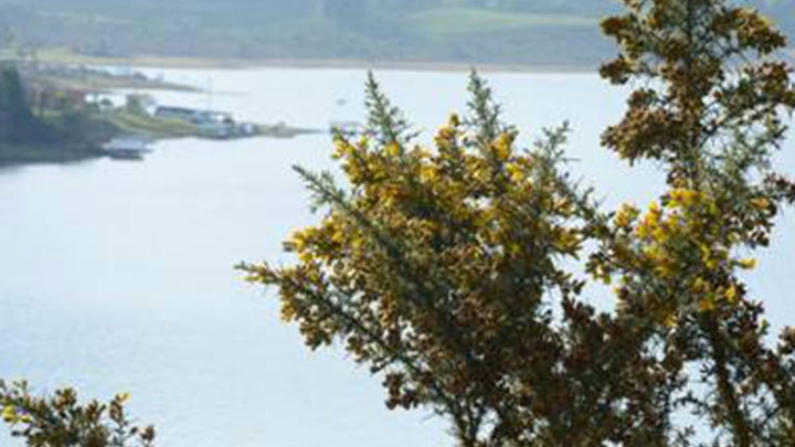 Embalse del Neusa.