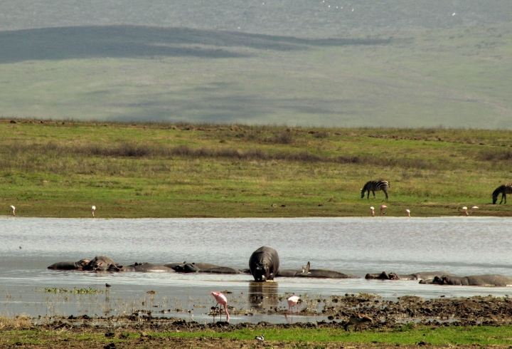 Cr&oacute;nica desde el cr&aacute;ter Ngorongoro, la caldera volc&aacute;nica m&aacute;s grande del mundo