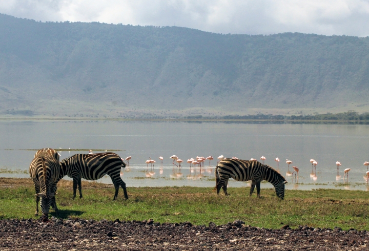 Crónica desde el cráter Ngorongoro, la caldera volcánica más grande del mundo