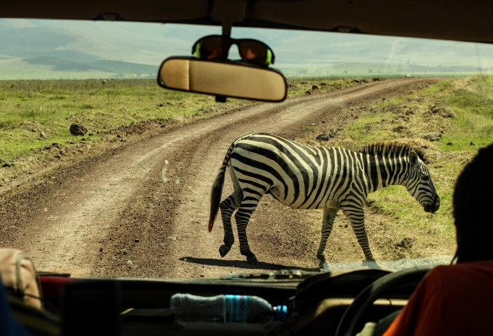 Cr&oacute;nica desde el cr&aacute;ter Ngorongoro, la caldera volc&aacute;nica m&aacute;s grande del mundo