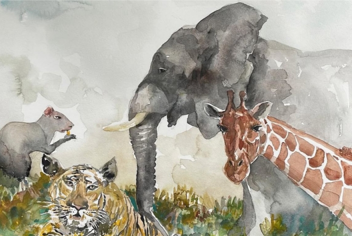 Dibujo animales en acuarela