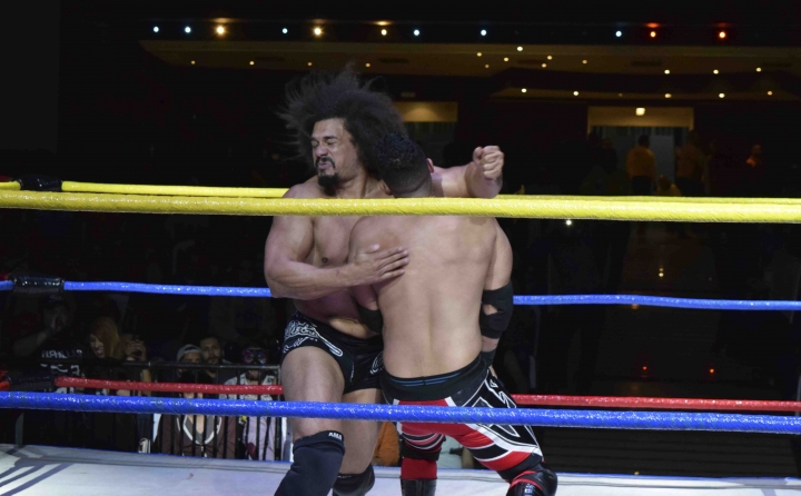 ‘Solo por una noche’: estrellas de lucha libre sobre el ring