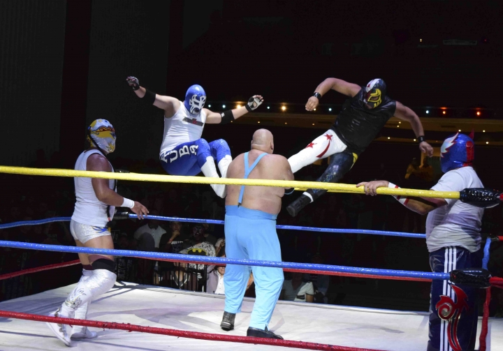 ‘Solo por una noche’: estrellas de lucha libre sobre el ring