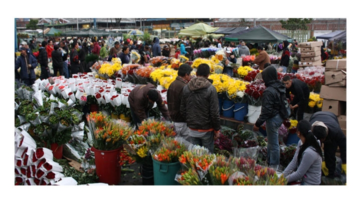 Flores para amor y amistad