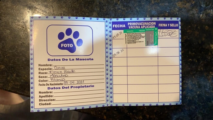 Carnet inv&aacute;lido por falta de sello y tarjeta profesional de un m&eacute;dico veterinario