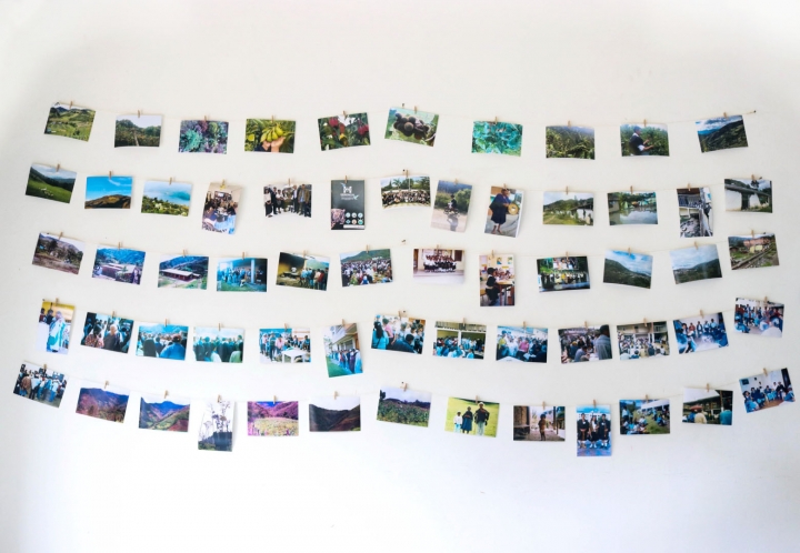 Historia de la sustituci&oacute;n de cultivos de amapola por caf&eacute;