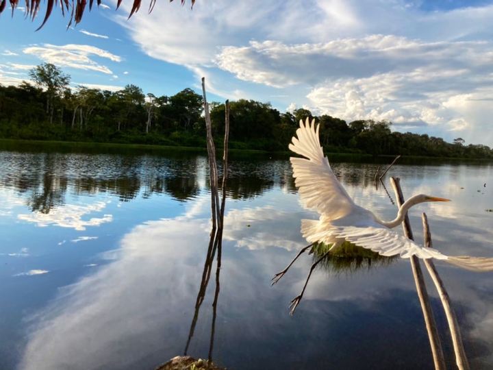 Reserva natural amazónica en Perú