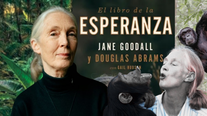 Jane Goodall&nbsp;&nbsp;&nbsp;
