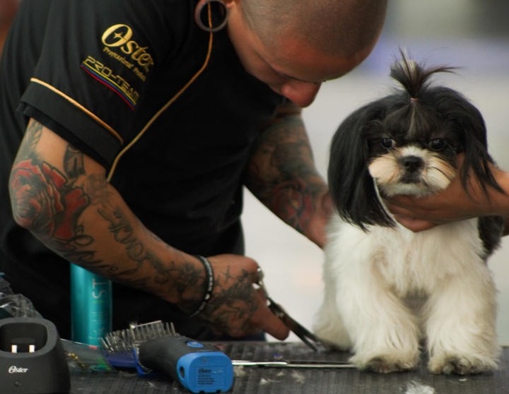 Jornada de adopci&oacute;n Cafam Floresta