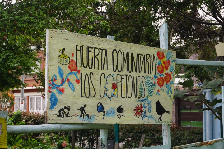 Huerta comunitaria &quot;Los Copetones&quot;