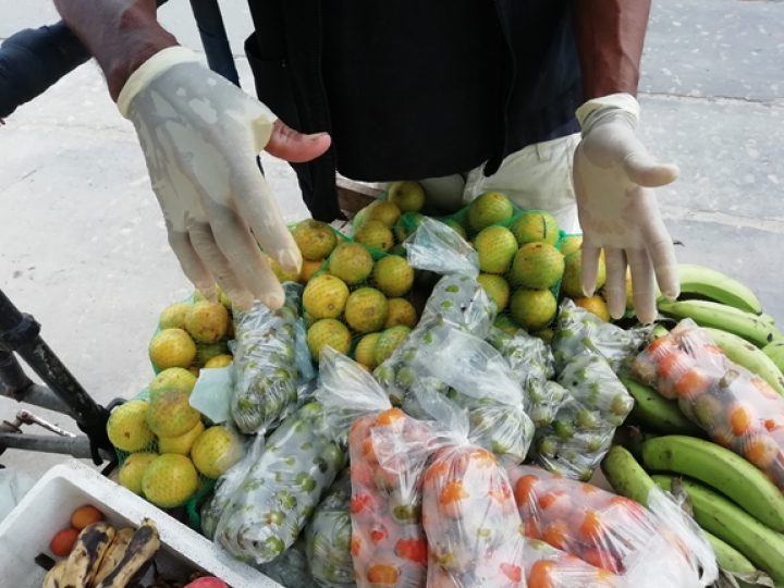 ¿Trabajo o hambre? El dilema de los carromuleros en Barranquilla