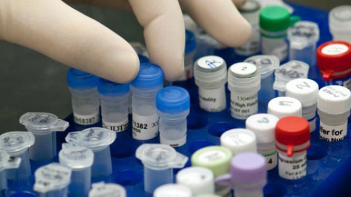  Colombiano descubre reglas cient&iacute;ficas para activar genes vinculados al c&aacute;ncer