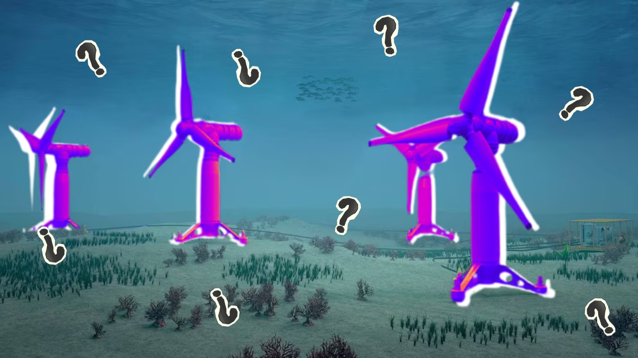 Aunque el pa&iacute;s ha avanzado en la incorporaci&oacute;n de energ&iacute;a solar y e&oacute;lica terrestre, el aprovechamiento energ&eacute;tico de las mareas no forma parte de la matriz el&eacute;ctrica nacional.|||