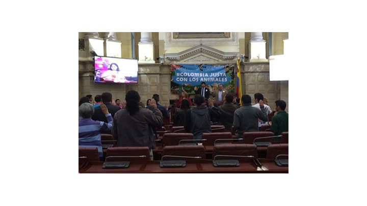 Finaliza acto de socialización del proyecto de ley que penaliza el maltrato animal