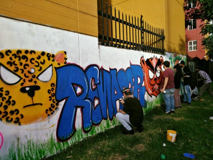 Los jóvenes decidieron pintar los murales que rodean la huerta