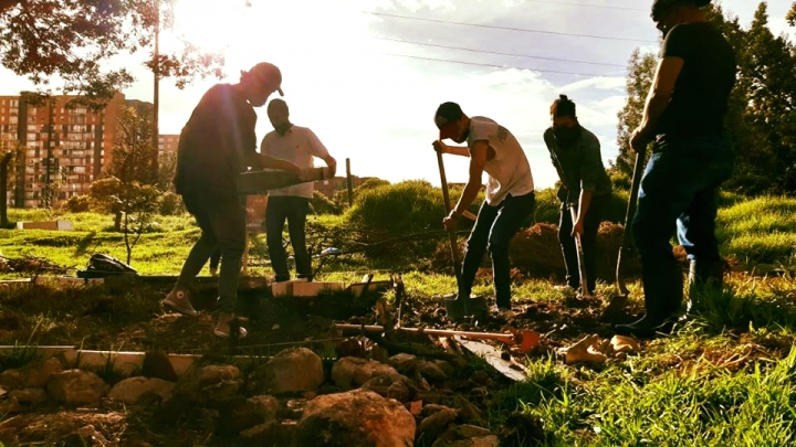 Los j&oacute;venes han tomado la iniciativa de ayudar y ser parte de este proyecto.
