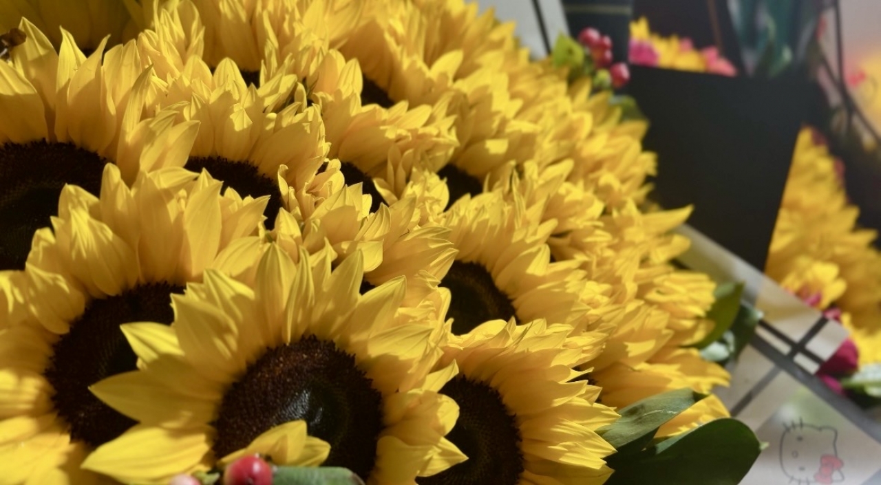 Con el 85% de sus ventas en EE.UU., las flores colombianas enfrentan nuevos retos econ&oacute;micos en una de sus temporadas m&aacute;s importantes.|||