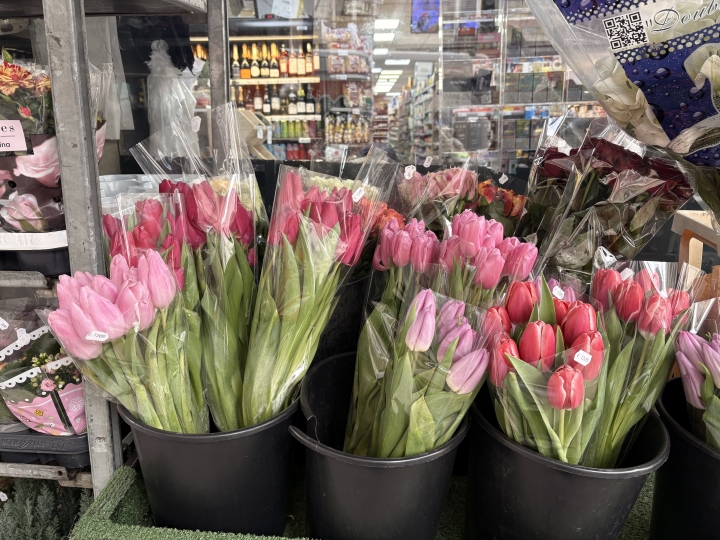 Floricultores enfrentan San Valent&iacute;n con d&oacute;lar a la baja, alza del m&iacute;nimo y aranceles de EE. UU.
