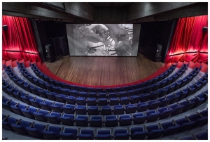 Las salas de cine independientes se han visto obligadas a transformar su forma de relacionarse con el público|||