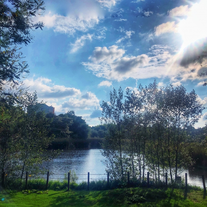 Humedal Santa Mar&iacute;a del Lago