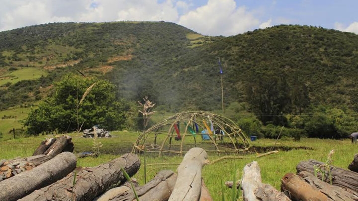 Las ramas de sauce con que se construye el Inipi tienen propiedades medicinales para la tradici&oacute;n Lakota