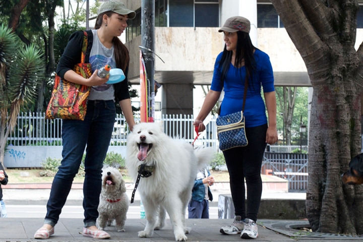 Los &#039;peludos&#039;  participaron en la movilización que se promovió en redes sociales.