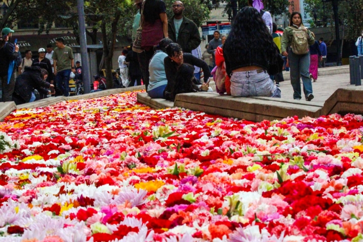Diferentes colores y olores decoraron por tres d&iacute;as el Eje Ambiental en la capital