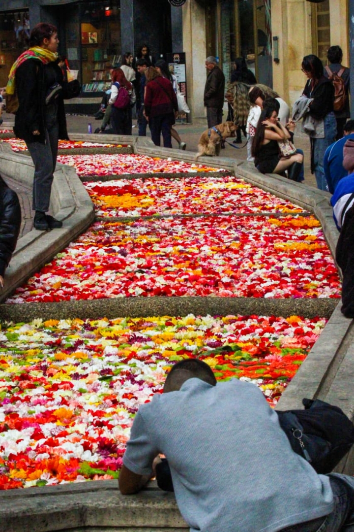Esta exposici&oacute;n es solo la apertura de la Bienal que albergar&aacute; artistas nacionales e internacionales