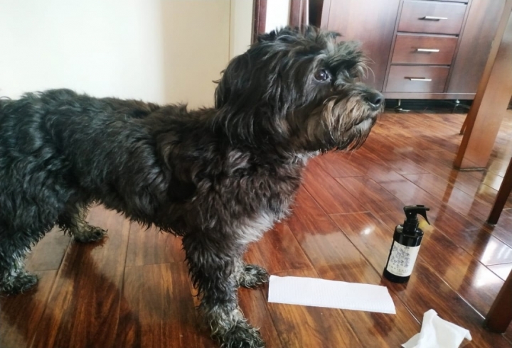 Art&iacute;culos de limpieza