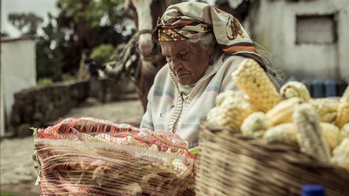 Las historias detr&aacute;s de una cr&oacute;nica fotogr&aacute;fica