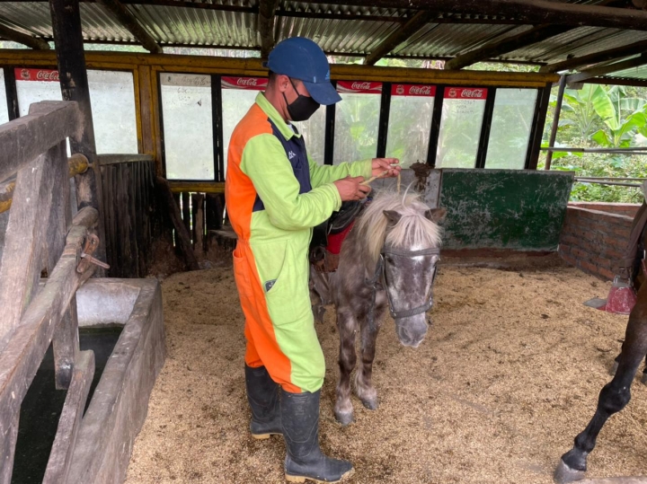 Martín Flórez de 31 años, es el encargado de cuidar a los caballos, ponys y llamas. Lleva 4 años trabajando en el Refugio.