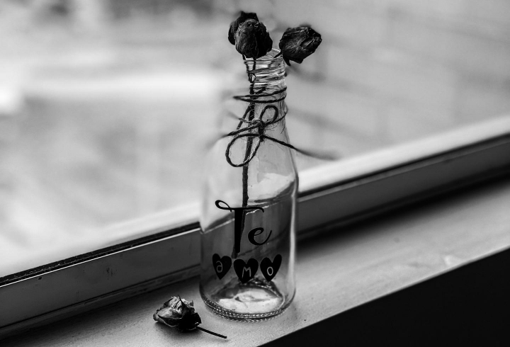 La p&eacute;rdida de la esperanza