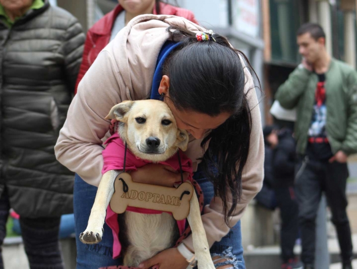En la imagen Sussy Varón junto a Púrpura durante la jornada de adopción realizada en la tienda para mascotas DiverPool en el Park Way.