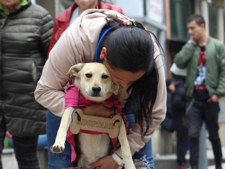 En la imagen Sussy Var&oacute;n junto a P&uacute;rpura durante la jornada de adopci&oacute;n realizada en la tienda para mascotas DiverPool en el Park Way.
