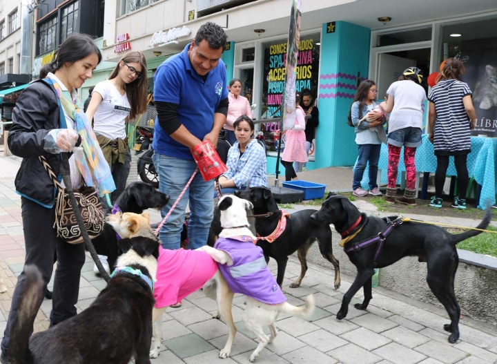 Alejandro Garzón junto algunos voluntarios en la jornada de adopción de perros y gatos, llevada a cabo el pasado 24 de marzo.