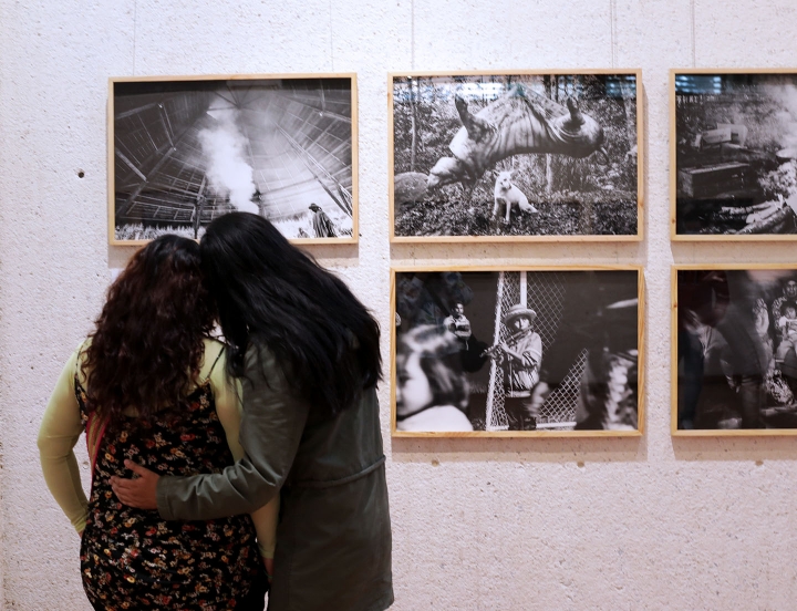 Visitantes en la exposici&oacute;n de Viviana Peretti
