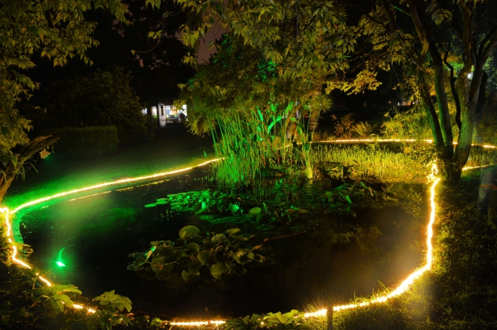 Así fue el primer Jardín Botánico Nocturno del 2017